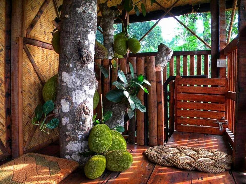 Greens Tree House & Wood House Sultan Bathery Εξωτερικό φωτογραφία