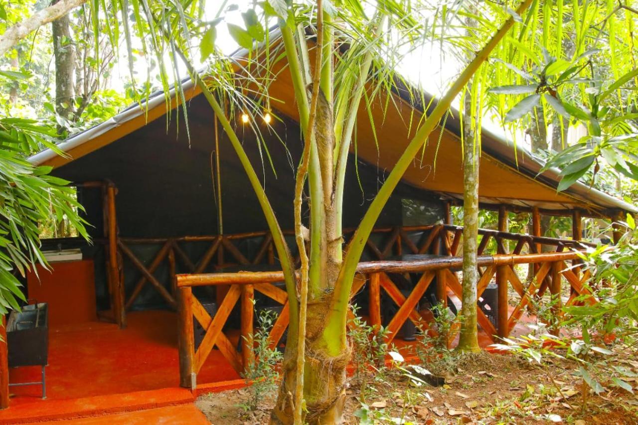 Greens Tree House & Wood House Sultan Bathery Εξωτερικό φωτογραφία