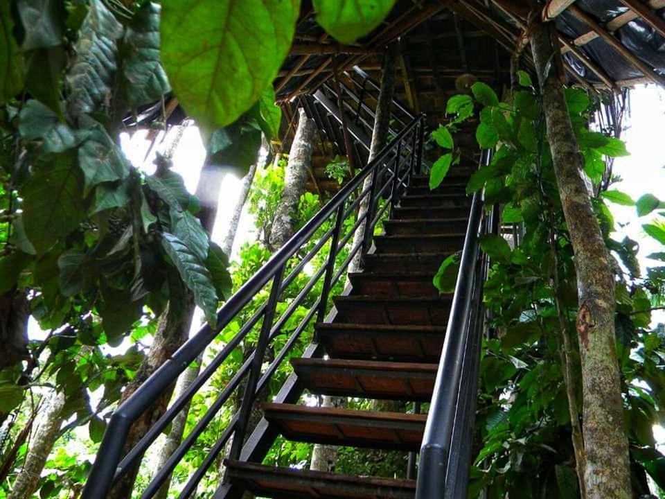 Greens Tree House & Wood House Sultan Bathery Εξωτερικό φωτογραφία