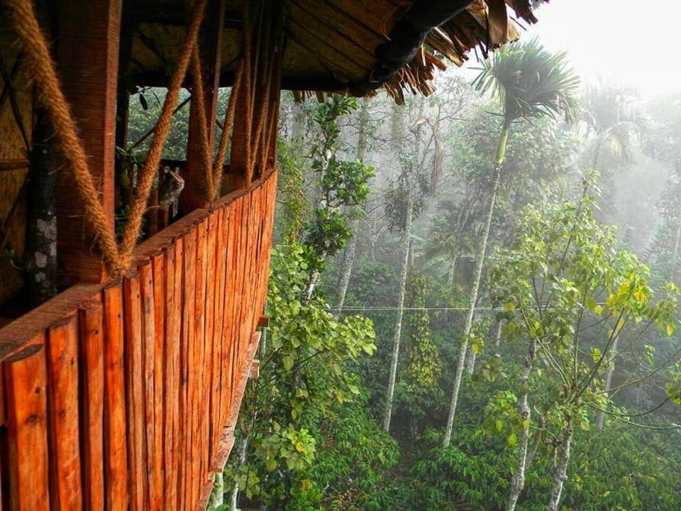 Greens Tree House & Wood House Sultan Bathery Εξωτερικό φωτογραφία