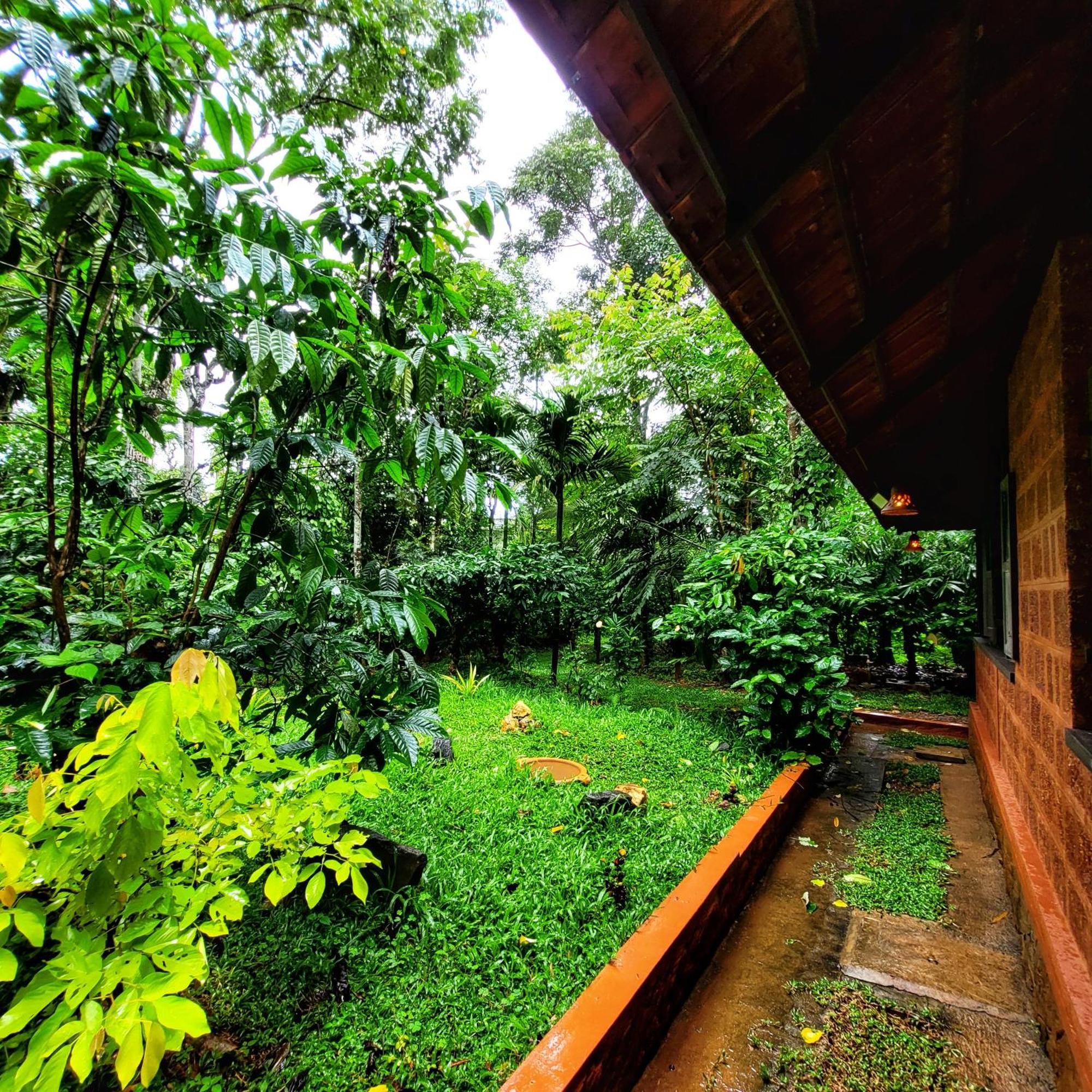 Greens Tree House & Wood House Sultan Bathery Εξωτερικό φωτογραφία