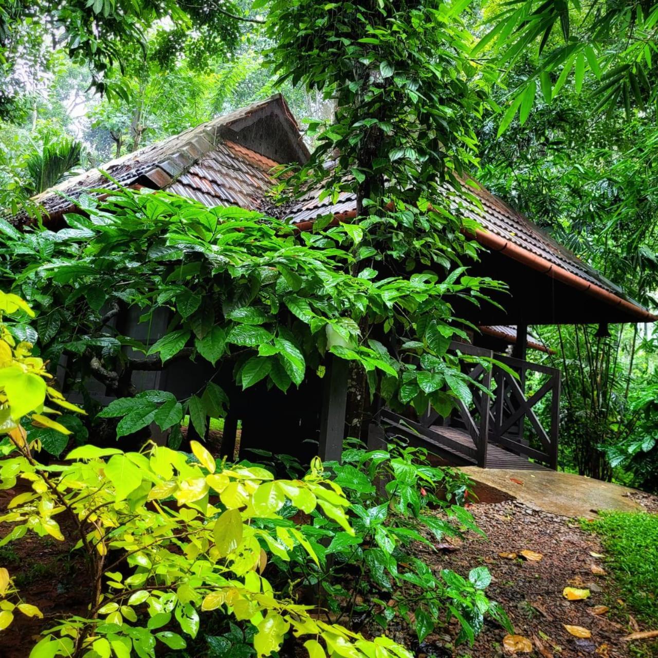 Greens Tree House & Wood House Sultan Bathery Εξωτερικό φωτογραφία