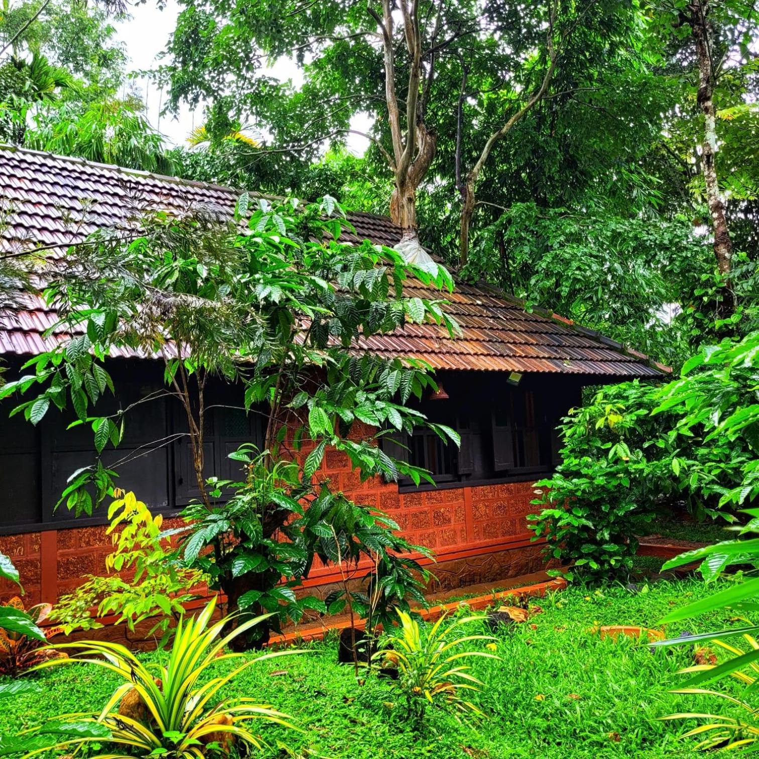 Greens Tree House & Wood House Sultan Bathery Εξωτερικό φωτογραφία