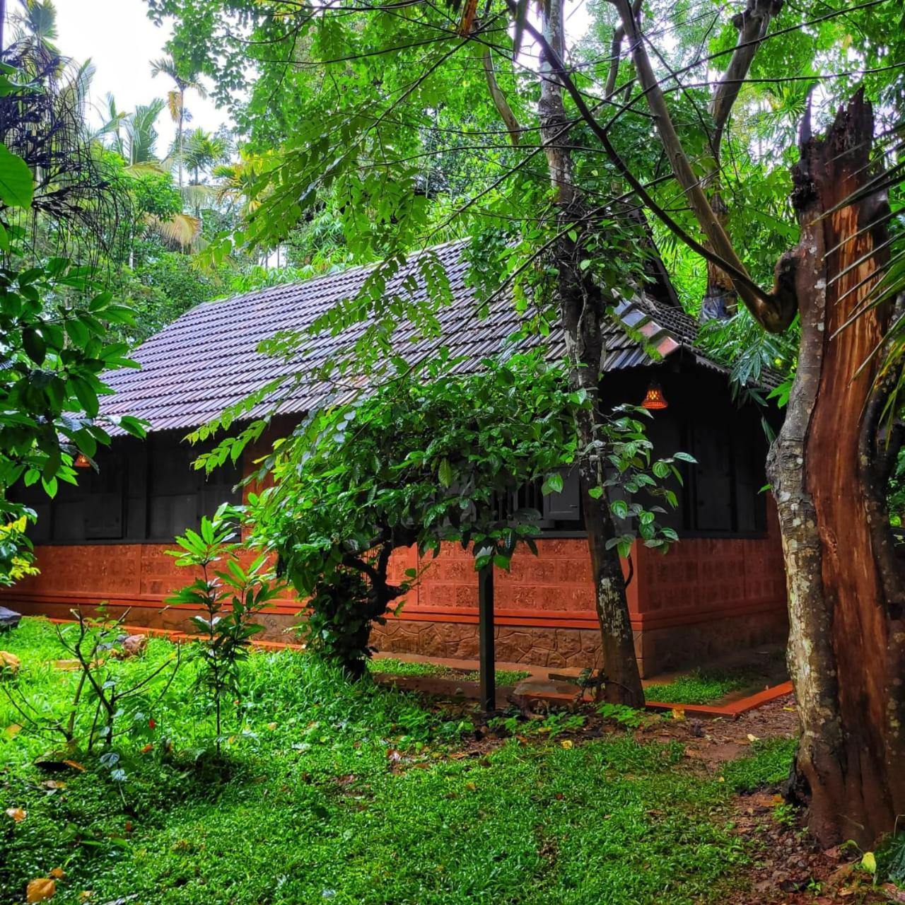 Greens Tree House & Wood House Sultan Bathery Εξωτερικό φωτογραφία