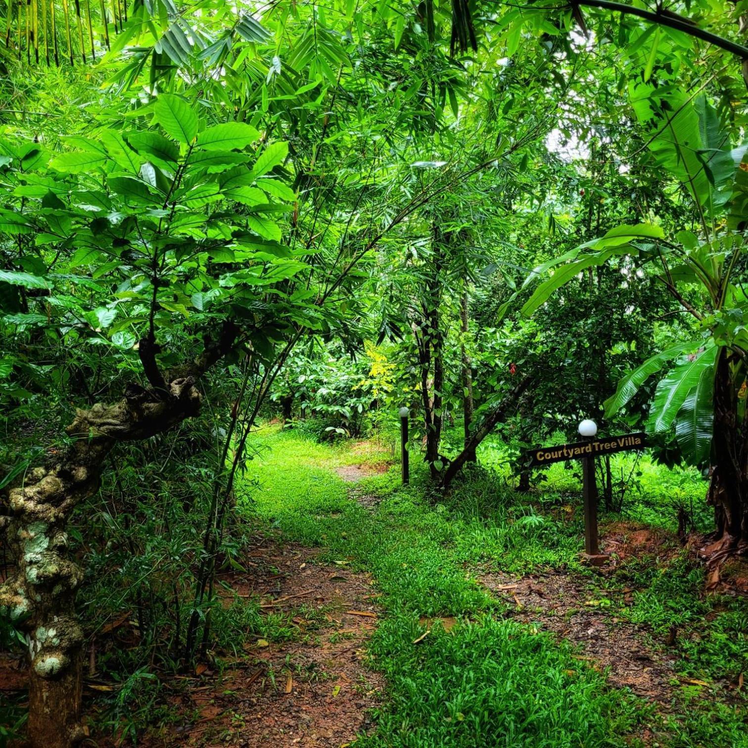 Greens Tree House & Wood House Sultan Bathery Εξωτερικό φωτογραφία