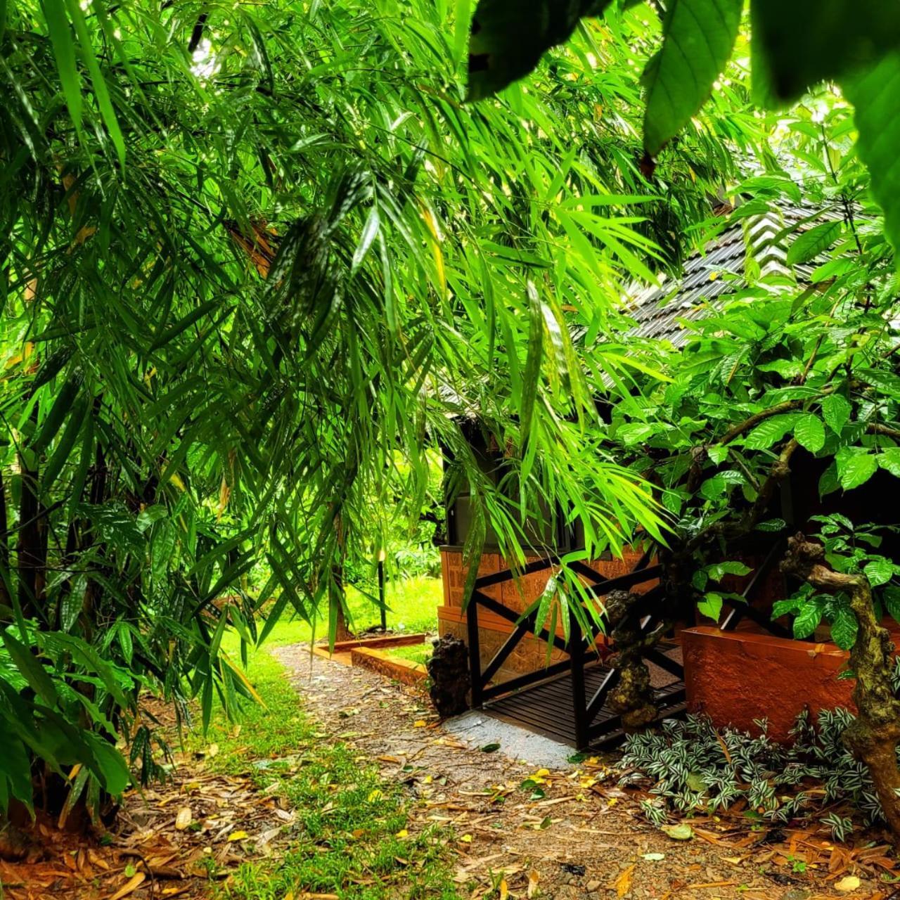 Greens Tree House & Wood House Sultan Bathery Εξωτερικό φωτογραφία