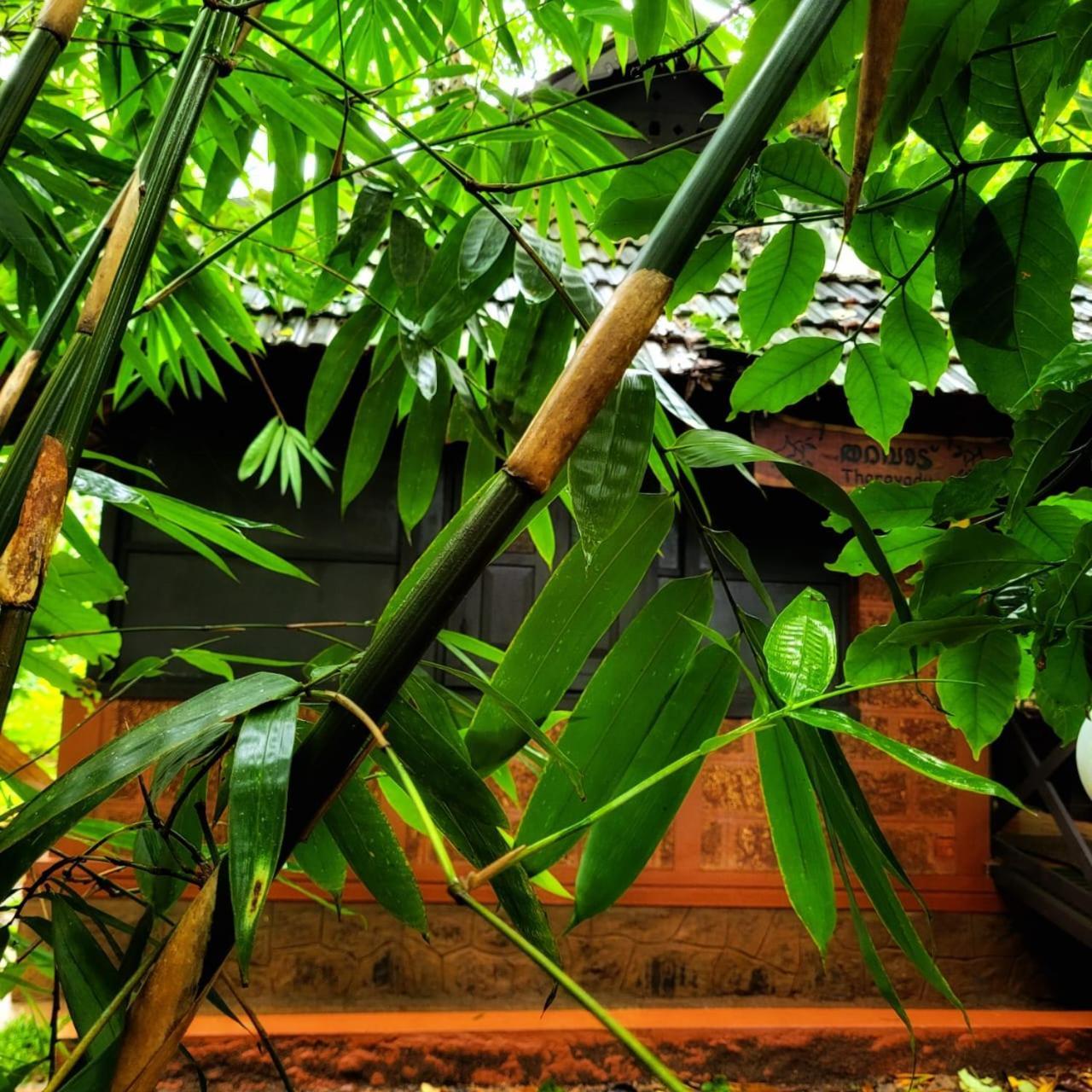 Greens Tree House & Wood House Sultan Bathery Εξωτερικό φωτογραφία