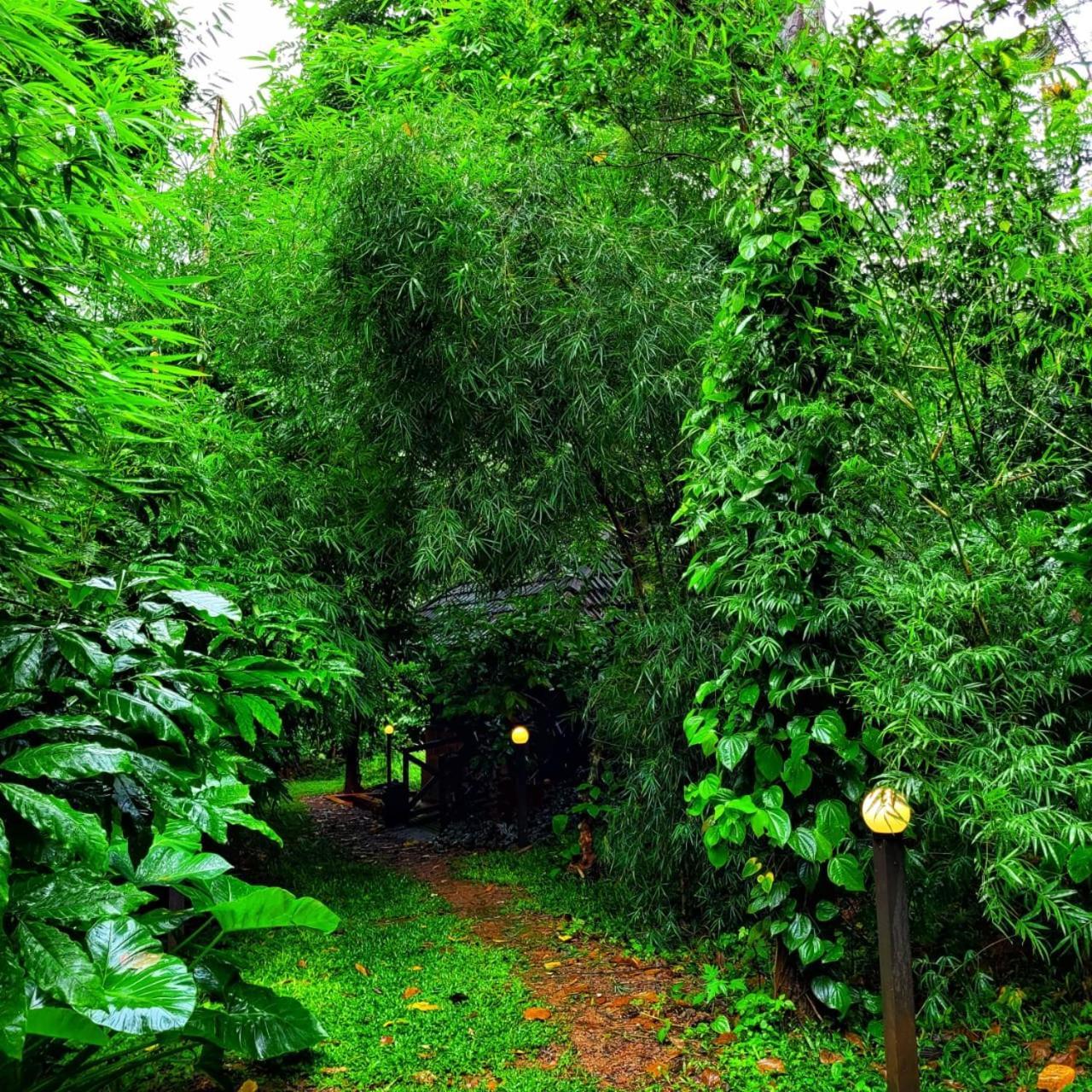 Greens Tree House & Wood House Sultan Bathery Εξωτερικό φωτογραφία